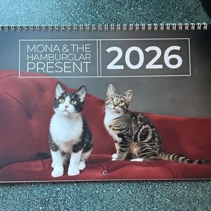Cat Calendar 2026 NEW